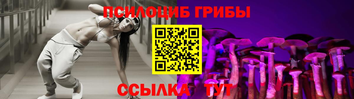 Волхов  Псилоцибиновые грибы прущие грибы  Вход с VPN 